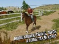 NS: Farming Simulator 20