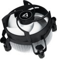 Arctic Alpine 17