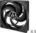 Arctic P14 5-pack