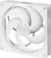Arctic P14 PWM PST Biały