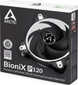 Arctic BioniX P120 Biało-czarny