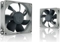 Noctua NF-R8 redux-1800 PWM