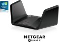 NETGEAR RAXE300-100EUS