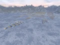 5.jpg_4