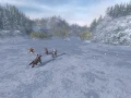 7.jpg_6
