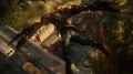 5.jpg_4