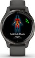 Garmin Venu 2S Grafitowy
