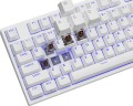 Genesis THOR 404 TKL Kalih Brown Box