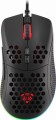 Genesis Krypton 555