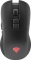 Genesis Zircon 330