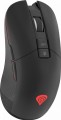 Genesis Zircon 330