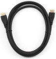 Gembird CC-DP2-10 DisplayPort - DisplayPort 3m czarny