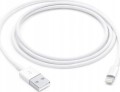 Apple Lightning na USB