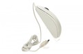 Mysz Logitech B100 OEM White
