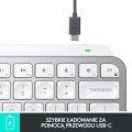 Logitech MX Keys Mini 920-010499