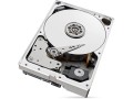 Dysk HDD Seagate Skyhawk AI ST10000VE001 10TB 3.5" SATA 256 MB 7200 obr/min