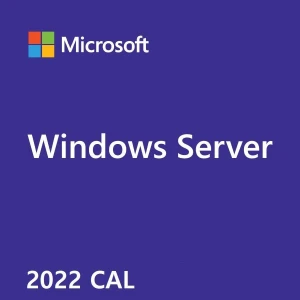 Microsoft Windows Remote Desktop Services 2022 User CAL CSP
