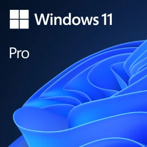Microsoft Windows 11 Pro EN 64 bit OEM