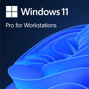 Microsoft Windows 11 Pro for Workstations PL 64 bit OEM