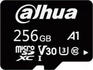 Dahua Technology TF-L100 SDXC 256 GB Class 10