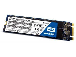 WD Blue 250GB SATA M.2 2280 WDS250G2B0B