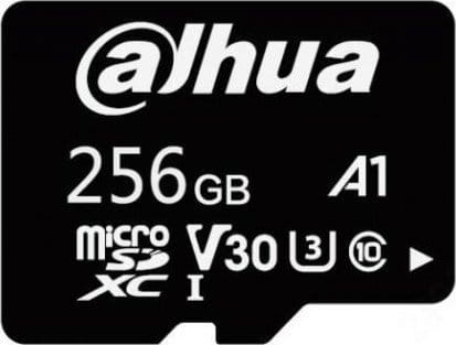Dahua Technology TF-L100 SDXC 256 GB Class 10