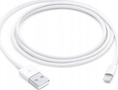 Apple Lightning na USB