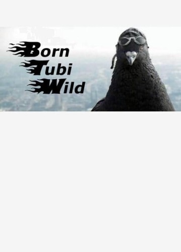 born-tubi-wild.jpg_0