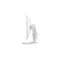 EIZO FlexScan EV2490