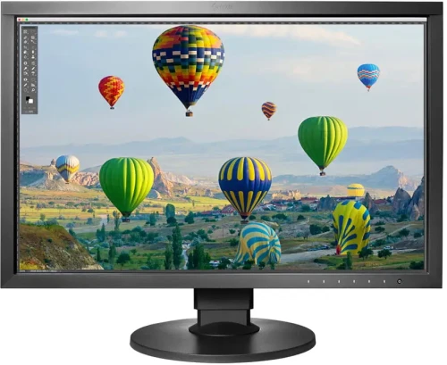 EIZO CS2410-BK