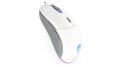 Endorfy GEM Plus OWH PAW3370