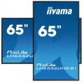 iiyama LH6552UHS-B1