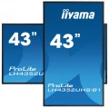 iiyama LH4352UHS-B1