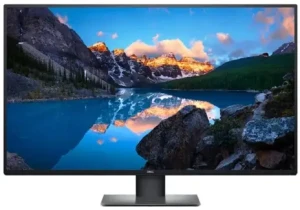 Dell U4320Q 42,5" IPS UHD 4K  (5 lat gwarancji)