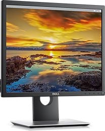 Dell P1917S