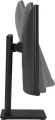 Asus VP299CL