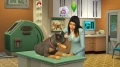 The Sims 4 Psy i Koty PC