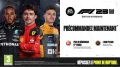 Gra Electronic Arts F1 23 na PS4