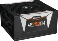 Gigabyte Aorus P750W
