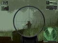 4.jpg_3