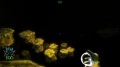 blinding-dark-pc-digital-7-1.jpg_5