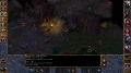 baldur-s-gate-enhanced-edition-pc-pl-digital-3-1.jpg_2
