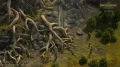 oldsycamoreoutdoor-bigtree-3840x2160.jpg_4