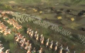 4.jpg_3
