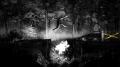 6.jpg_5