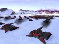 5.jpg_4