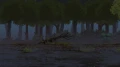 9.jpg_8