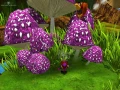 d5.jpg_4