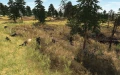 skir5.jpg_5