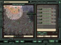 4.jpg_3